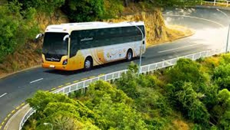 Xe Cà Mau – Sài Gòn bến Miền Đông mới: Giá vé & lịch trình chi tiết (Cập nhật 2025)