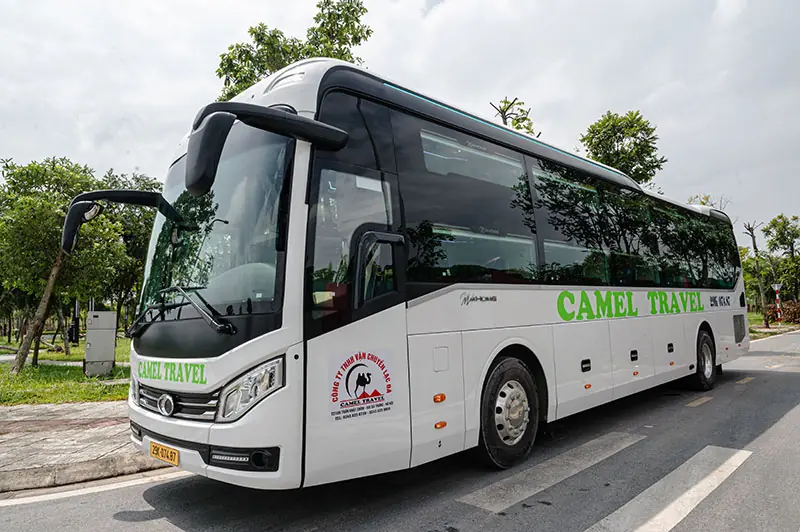 Camel Travel